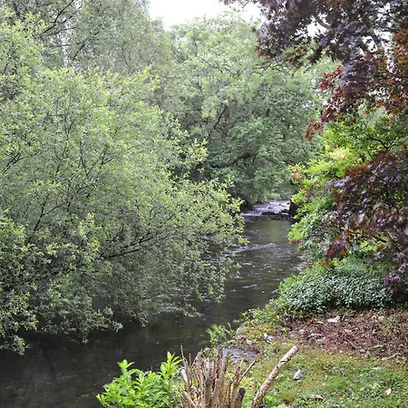 Sunny Beck * High Nibthwaite